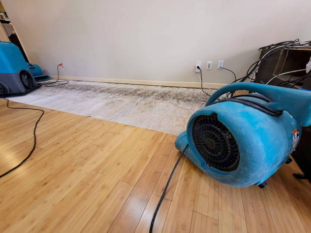 Professional Basement Flood Cleanup technician working in Cedar Valley, UT